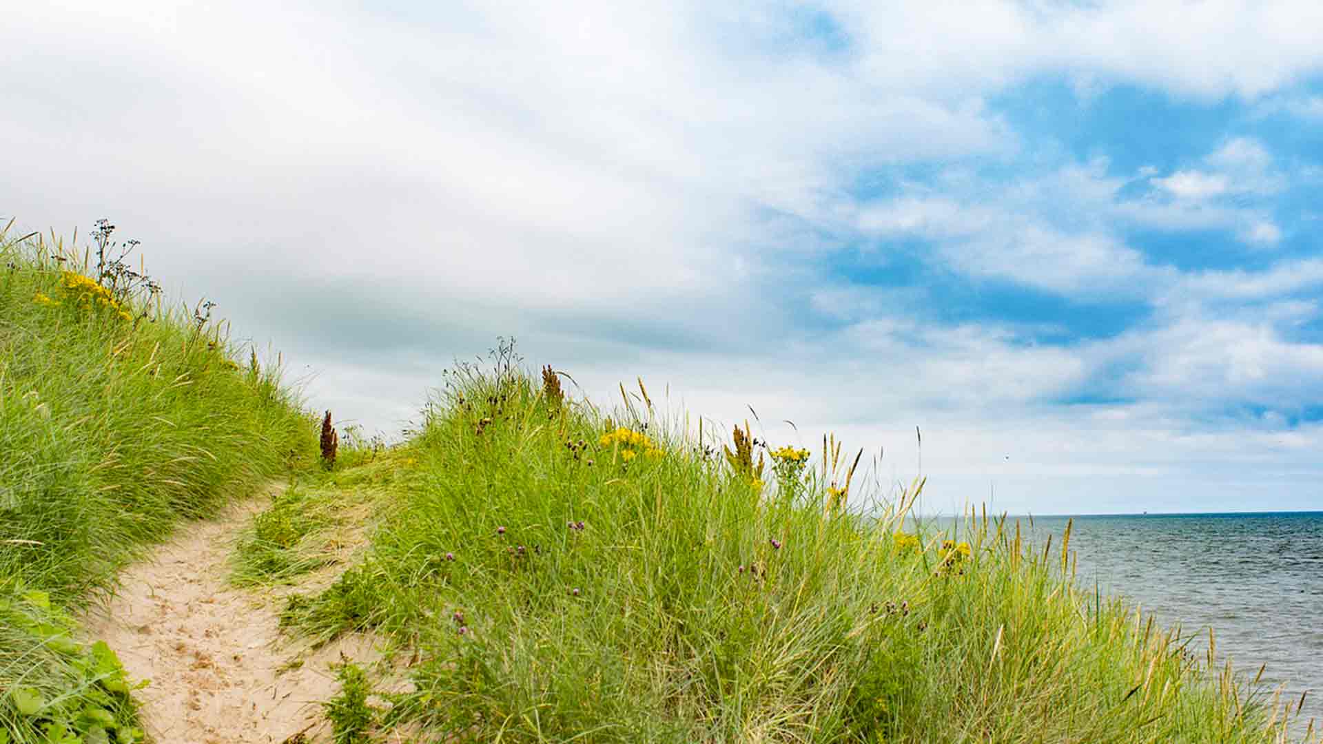 Travel Guide Aberdeen Scotland in road trip