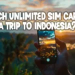 Unlimited sim card for indonesia