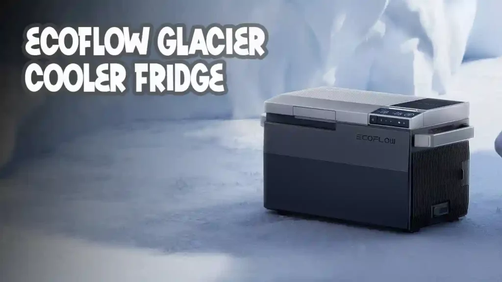 GLACIER Fridge Ecoflow coupon & discount code, review, test