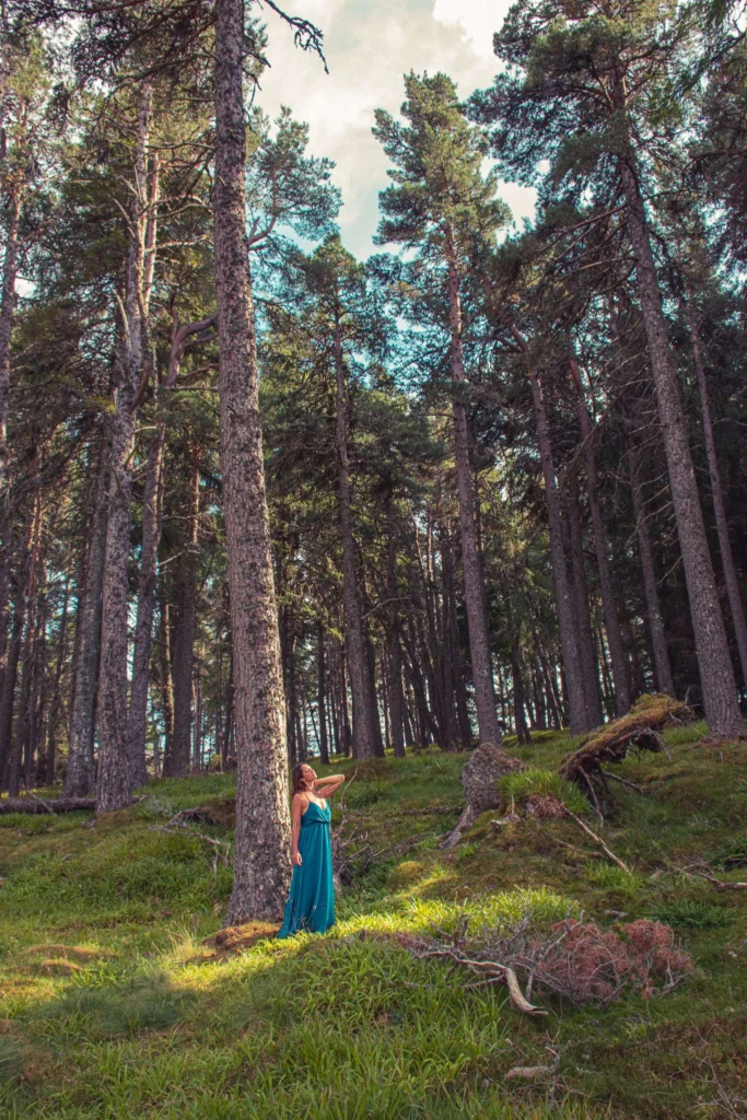 Caroline in a blue dress in a light-drenched forest in the Cairngorms