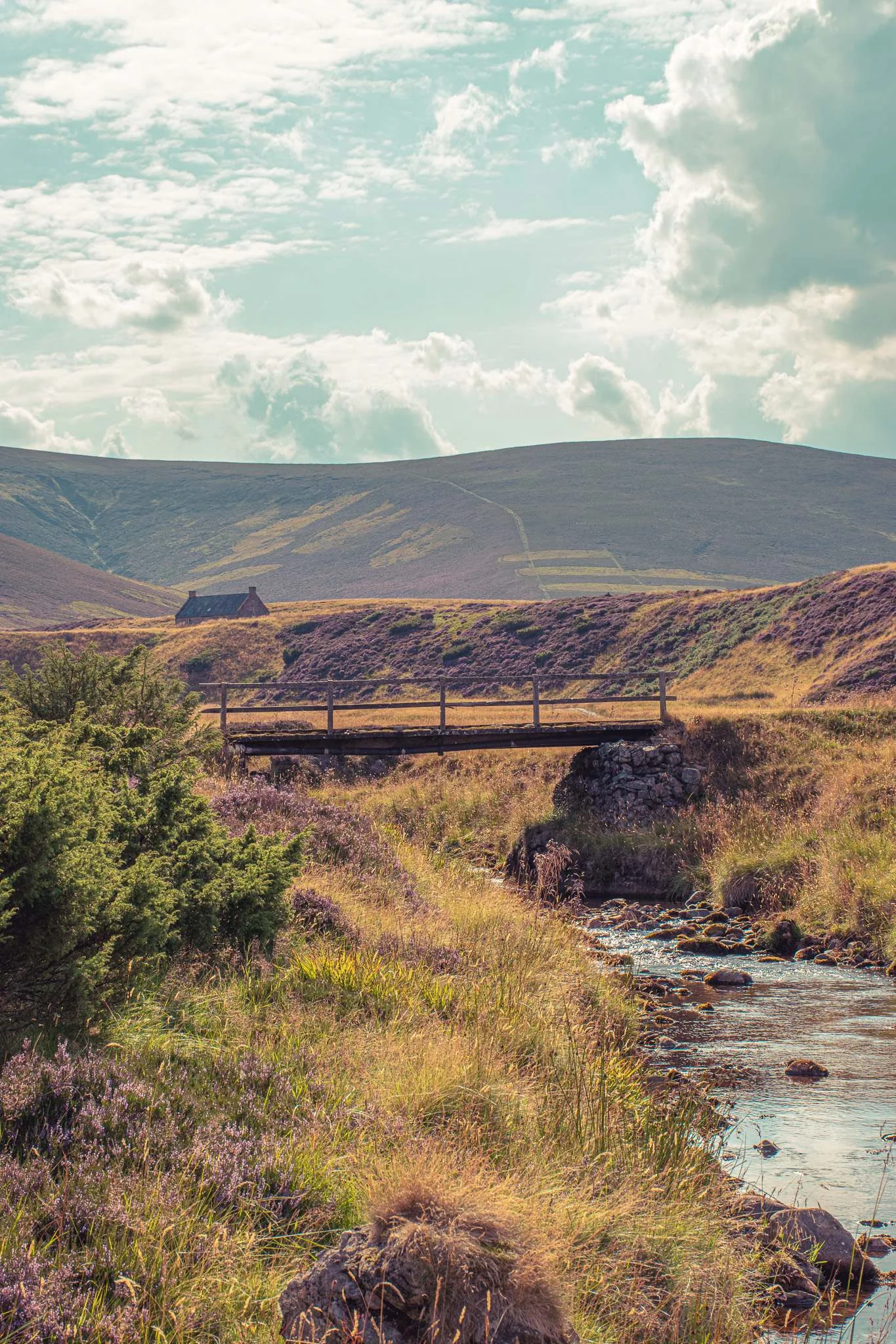 Small wooden bridge over a stream in the Cairngorms with a secluded house in the distance