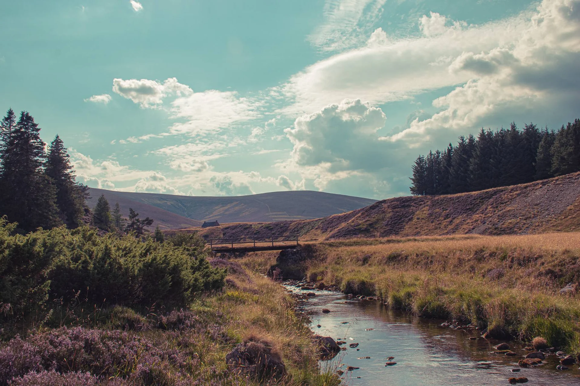 River that runs through a wild valley of the Cairngorms National Park in Scotland