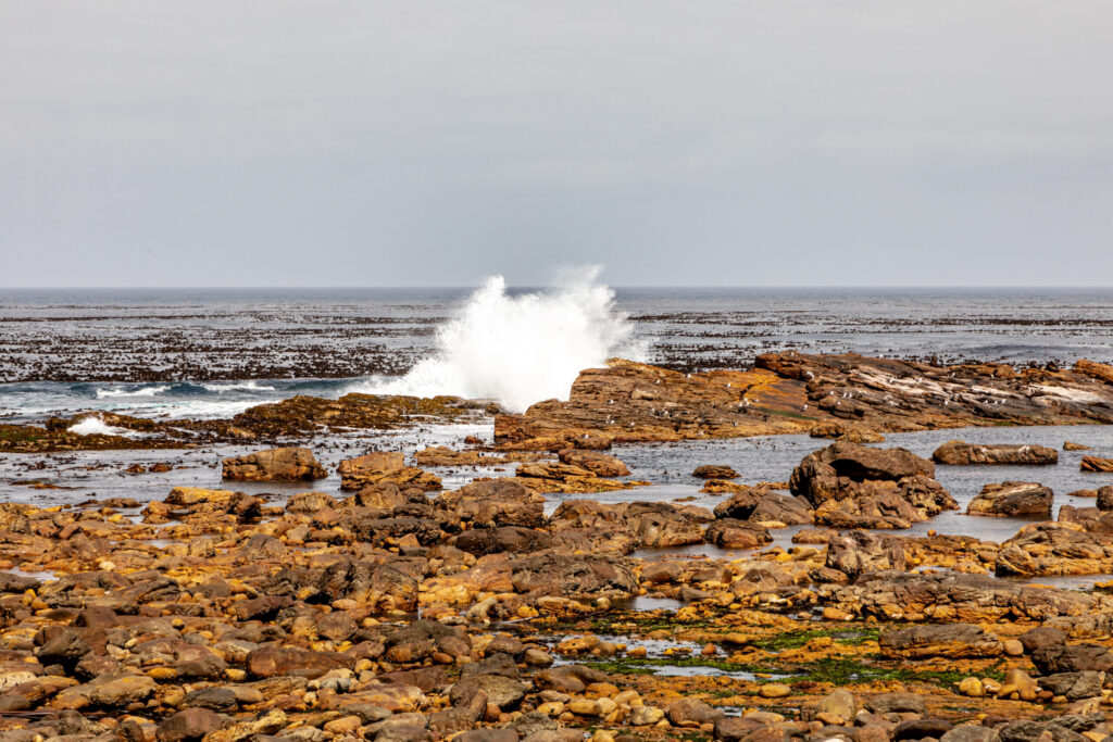 The Cape of Good Hope in South Africa
