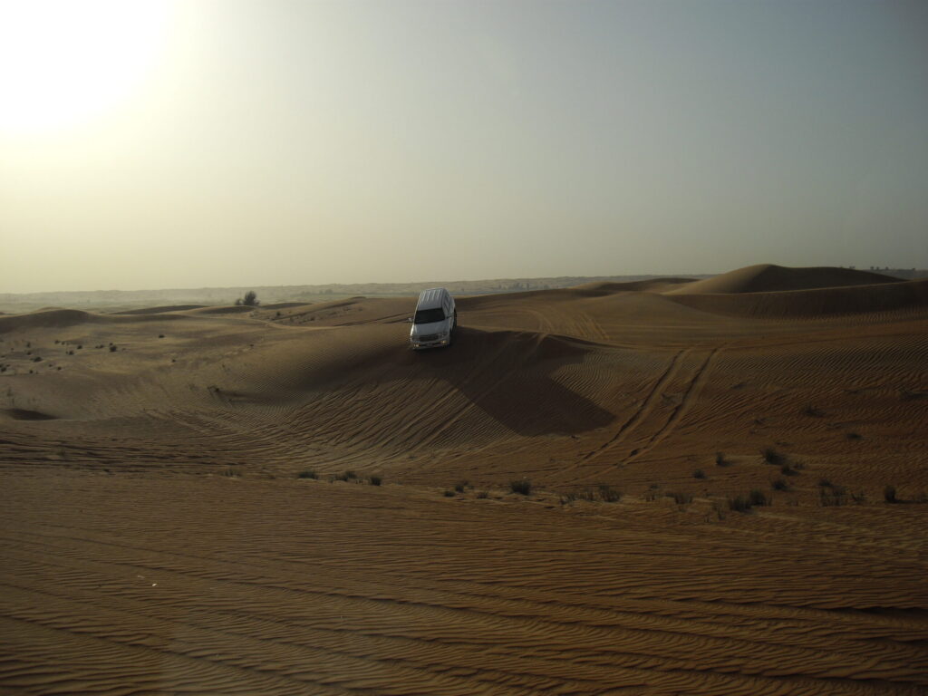Safari in the dunes of the Dubai desert