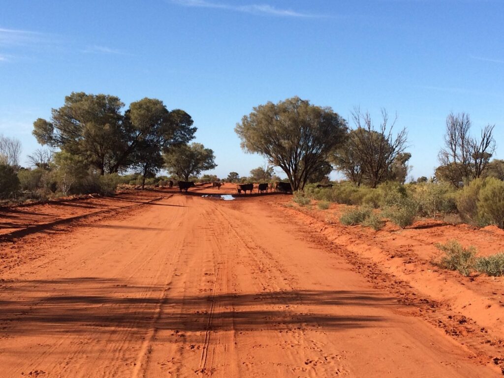 A deserted road in the Australian Outback, far from any network
