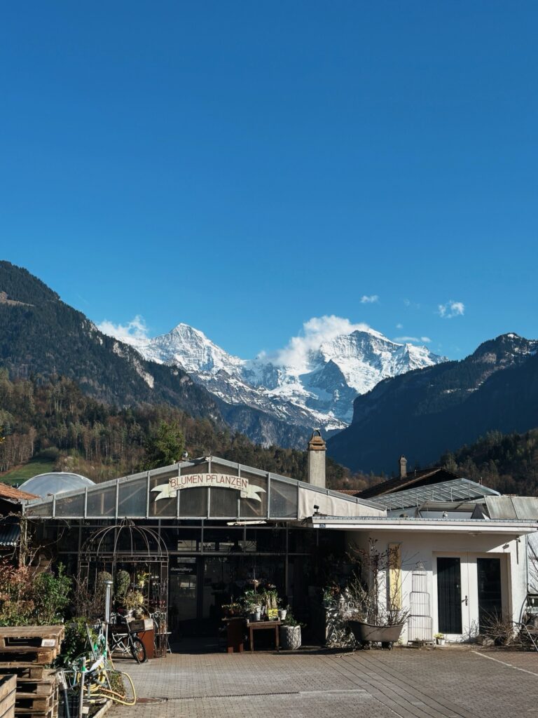 Panoramic view of the Swiss Alps above Interlaken, Jungfrau region