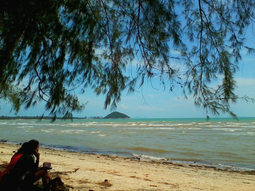 Koh Samui beach lined with coconut trees