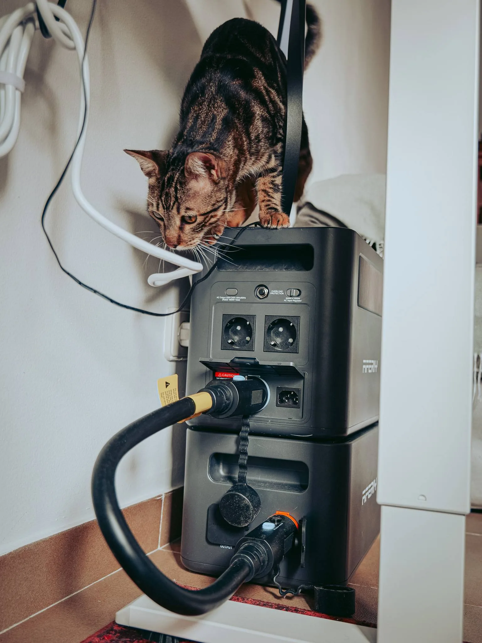 Rear view of the Aferiy Nomad 1800 Pro and P180-B set: power sockets, overload protection, and 500W+1000W input regulator at the top, OUTPUT port of the extension connected below by the linking cable (the cat Vasco is inspecting).