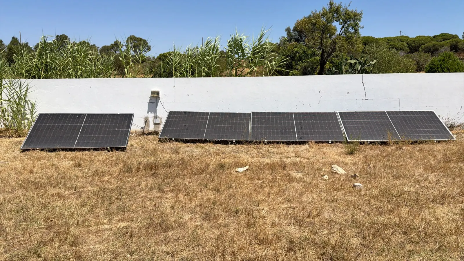 Four ground-mounted solar panels: three EcoFlow and one no-name panel, comparing how voltage holds up in extreme heat