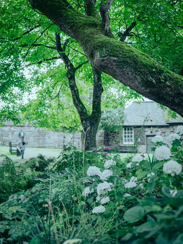 A green garden with white hydrangeas and moss-covered trees, in front of a stone wall and an old building at Stirling Castle, Scotland, in summer.