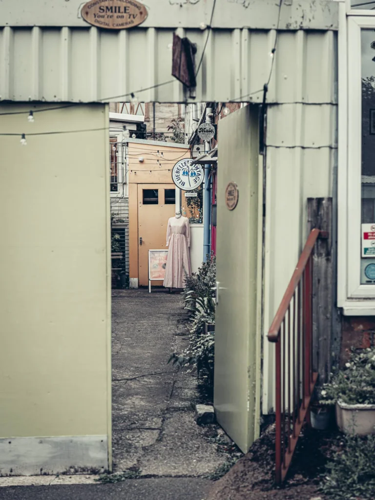 Open passage of The Hidden Lane, in Glasgow, with a mannequin dressed in a long pale pink dress in front of the workshop, surrounded by plants and colorful facades. The dresses are part of what the duo notices on site, just like the paintings.