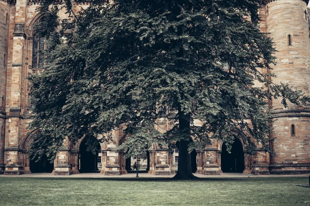 A quadrangle at the University of Glasgow, a large tree in front of the stone facade, arches and towers all around.