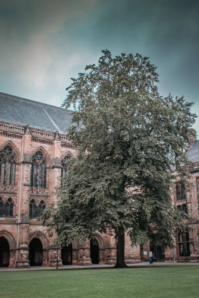 Majestic tree in front of a historic stone Gothic building on the campus of the University of Glasgow in Scotland.