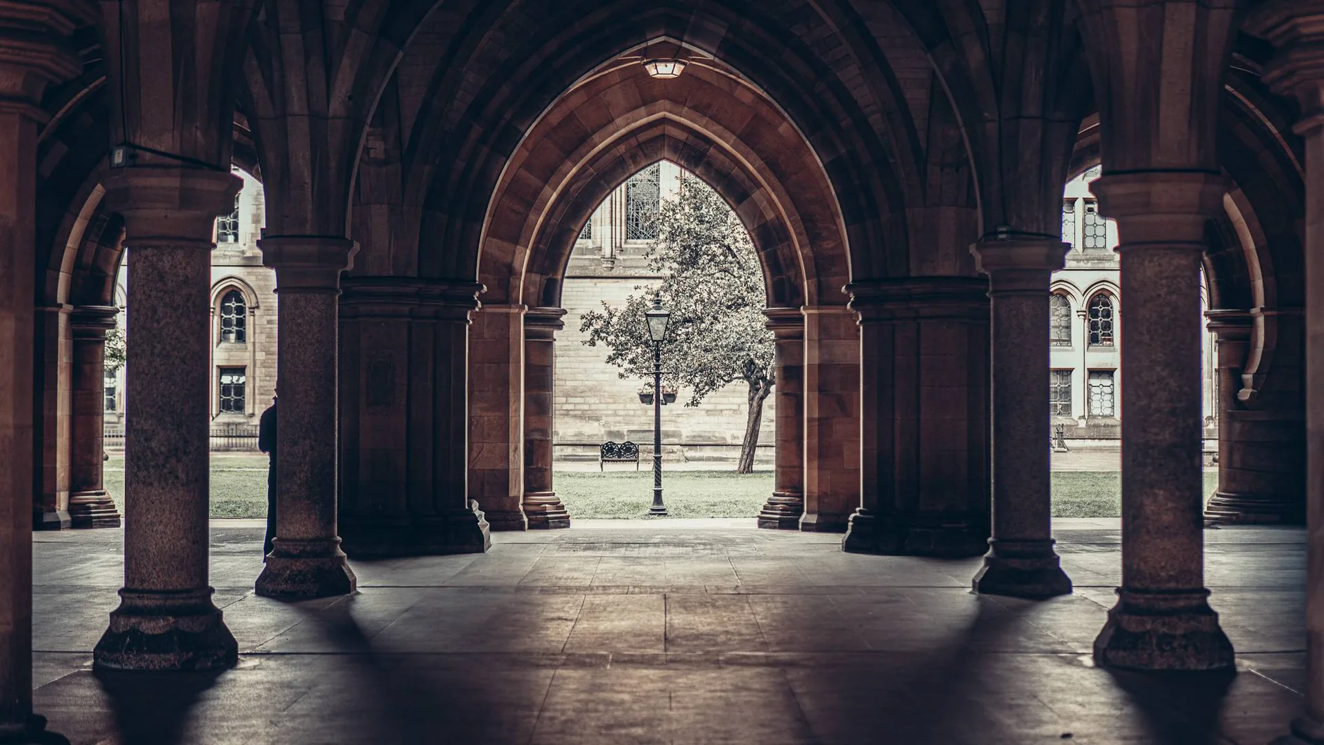 The Cloisters at the University of Glasgow, also known as the Undercroft: the vaulted passage linking the two quadrangles, looking out to the facade and the tree at the centre of the court. This tree-lined cloister is one of the most photographed spots in the city.