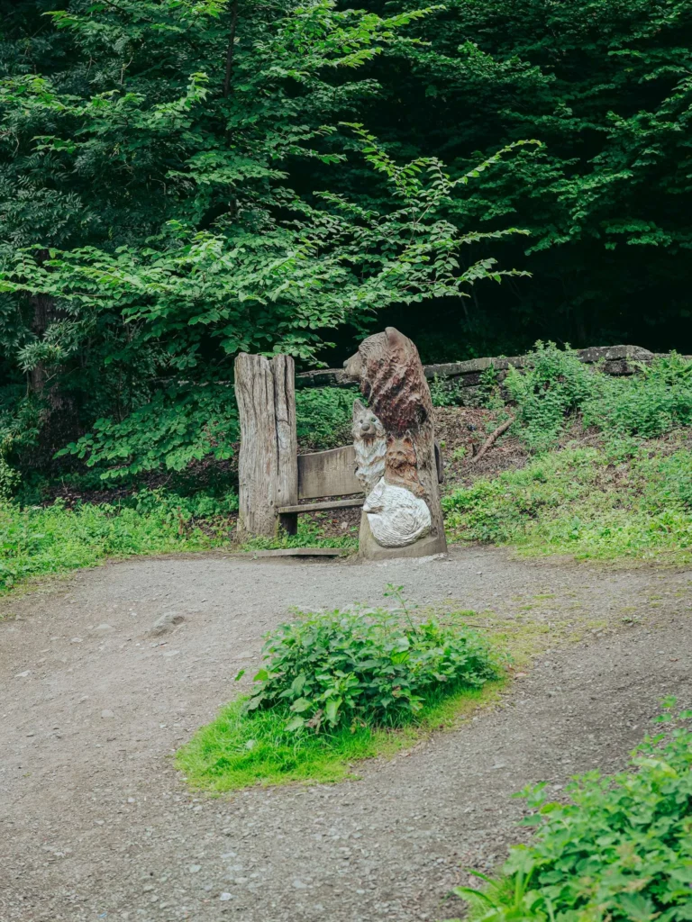 Wood sculpture depicting a bear and a wolf on a forest path near the Wallace Monument in Stirling, Scotland, in August 2026.