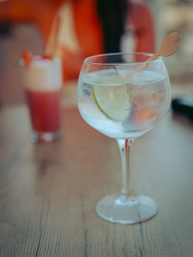 Xavier's gin and tonic on the terrace of Nomad in Tavira, with a slice of lime and a wooden spoon, placed on the table facing the panorama.