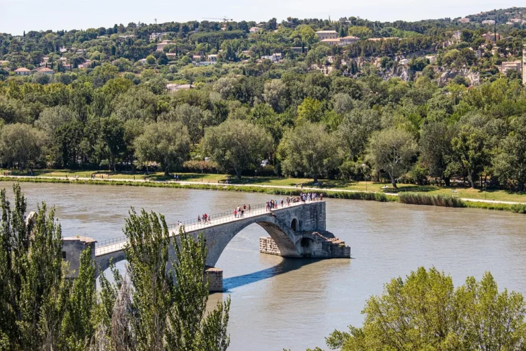 Avignon by motorhome: the palace, the bridge and a cat in the Alpilles