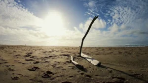 Hossegor in November: the ocean, the sand and Caroline wanting to stay